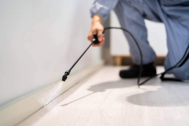 Licensed Rodent Control service in Lyman County County, SD - Nex Pest Control